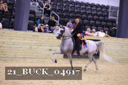 21_BUCK_04917 thumbnail