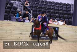 21_BUCK_04918 thumbnail