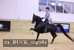 21_BUCK_04981 thumbnail