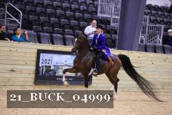 21_BUCK_04999 thumbnail