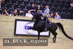 21_BUCK_05001 thumbnail