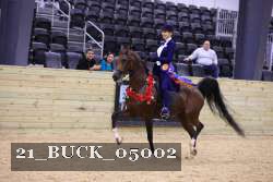 21_BUCK_05002 thumbnail