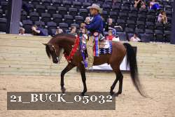 21_BUCK_05032 thumbnail