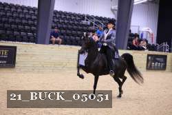 21_BUCK_05051 thumbnail