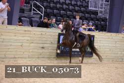 21_BUCK_05073 thumbnail