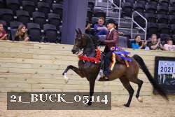 21_BUCK_05114 thumbnail