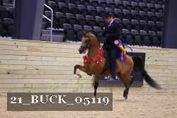 21_BUCK_05119 thumbnail