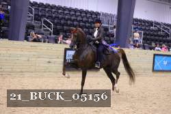 21_BUCK_05156 thumbnail