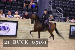 21_BUCK_05161 thumbnail