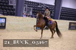 21_BUCK_05167 thumbnail