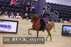 21_BUCK_05171 thumbnail