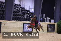 21_BUCK_05214 thumbnail