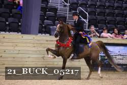 21_BUCK_05217 thumbnail