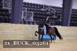 21_BUCK_05261 thumbnail