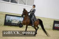 22BUCK_00024 thumbnail