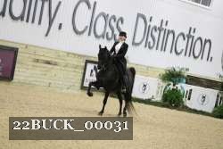 22BUCK_00031 thumbnail