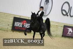 22BUCK_00033 thumbnail