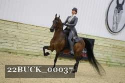 22BUCK_00037 thumbnail