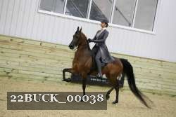 22BUCK_00038 thumbnail