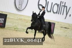 22BUCK_00041 thumbnail