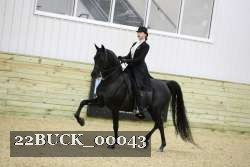 22BUCK_00043 thumbnail