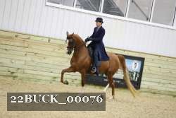 22BUCK_00076 thumbnail