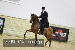 22BUCK_00141 thumbnail