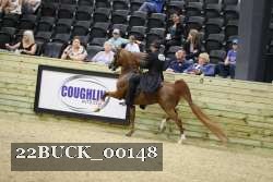 22BUCK_00148 thumbnail