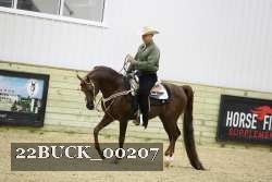 22BUCK_00207 thumbnail