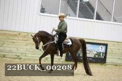 22BUCK_00208 thumbnail