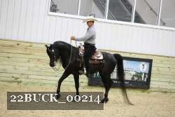 22BUCK_00214 thumbnail