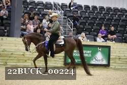 22BUCK_00224 thumbnail