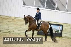 22BUCK_00230 thumbnail