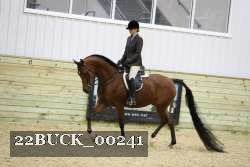 22BUCK_00241 thumbnail