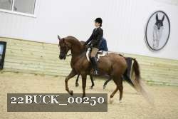 22BUCK_00250 thumbnail