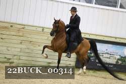 22BUCK_00314 thumbnail