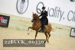 22BUCK_00330 thumbnail