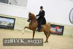 22BUCK_00331 thumbnail