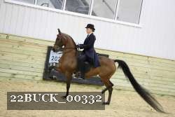 22BUCK_00332 thumbnail