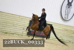 22BUCK_00333 thumbnail