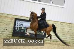 22BUCK_00334 thumbnail