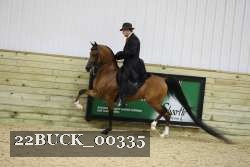 22BUCK_00335 thumbnail