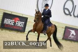 22BUCK_00336 thumbnail