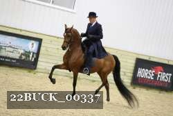 22BUCK_00337 thumbnail