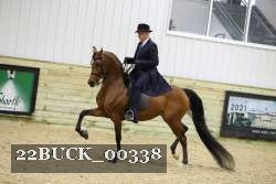 22BUCK_00338 thumbnail