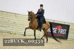 22BUCK_00339 thumbnail