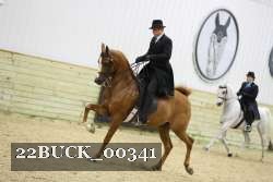 22BUCK_00341 thumbnail