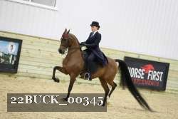 22BUCK_00345 thumbnail