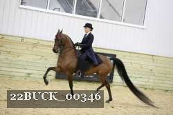 22BUCK_00346 thumbnail