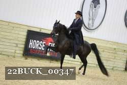 22BUCK_00347 thumbnail